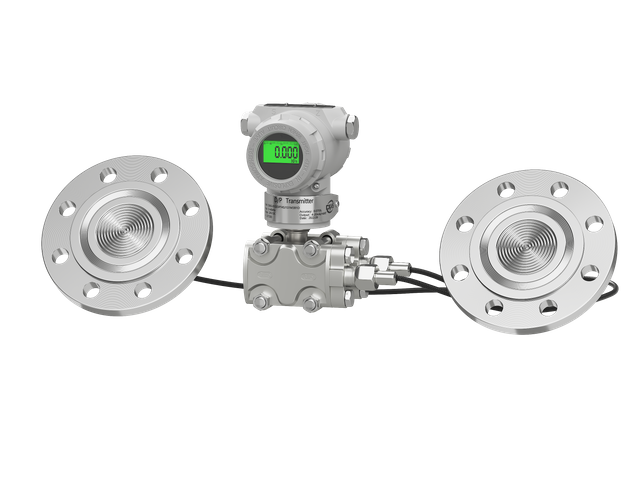 双法兰液位计(Double flanged level gauge)