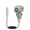 投入式液位计（Input type liquid level meter）
